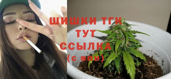 гидра Козловка