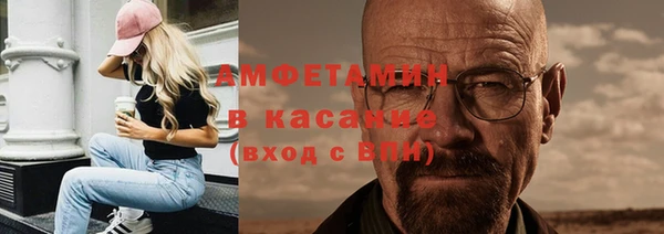 гидра Козловка