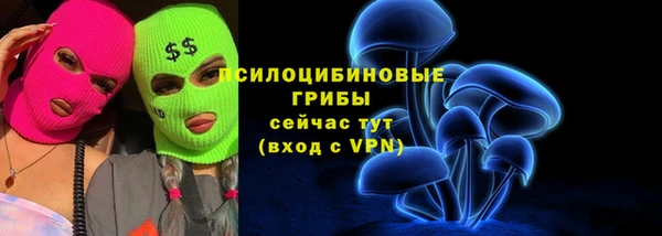 метадон Кодинск