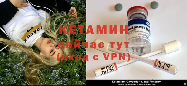 гидра Козловка